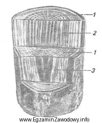 Na rysunku kłody cyfrą 3 oznaczono przekrój drewna