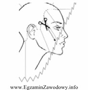 Pokazana na rysunku instruktażowym zabiegu strzyżenia linia zygzakowata 