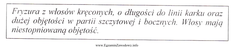 Fryzura zaprojektowana zgodnie z opisem przyjmuje geometryczną formę