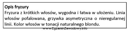 Opis fryzury dotyczy klientki, która jest reprezentantką stylu