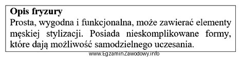 Opisana fryzura została zaprojektowana w stylu