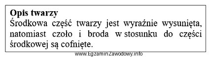 Zamieszczony opis dotyczy twarzy o kształcie profilu