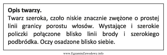 Opis dotyczy twarzy o kształcie