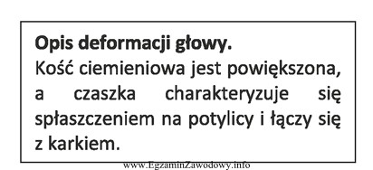 Której deformacji głowy dotyczy opis?