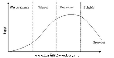 W której fazie cyklu życia produktu należy 