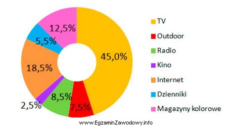 Na podstawie graficznej prezentacji udziału poszczególnych segmentów 