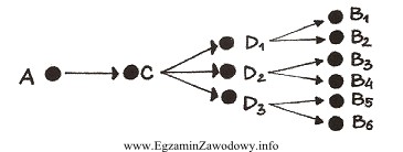 Jaki rodzaj powiązań w łańcuchu dostaw przedstawiono 