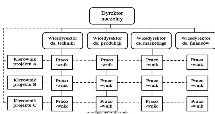 Który system powiązań komórek organizacyjnych w przedsię