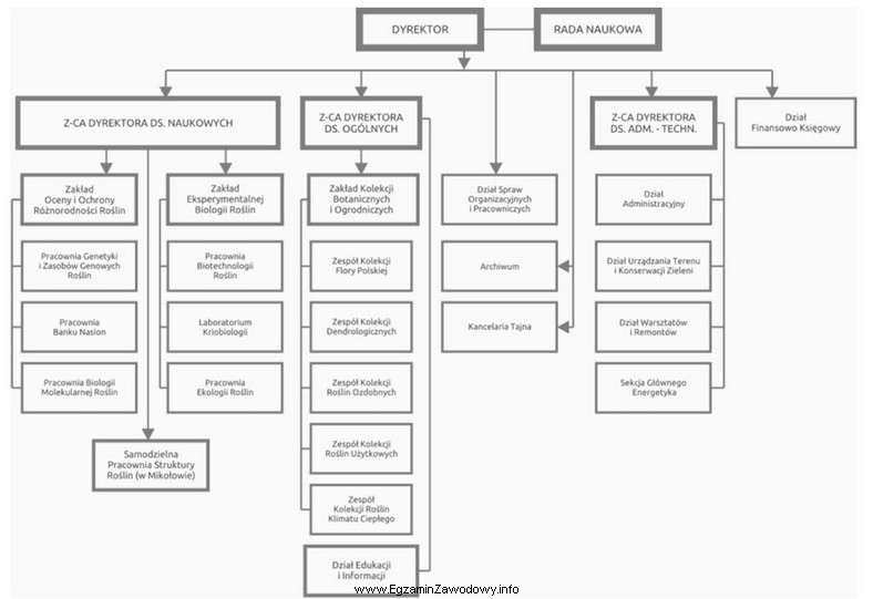 Na schemacie przedstawiono strukturę organizacyjną Ogrodu Botanicznego Polskiej Akademii Nauk. 