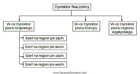 Przedstawiony schemat struktury organizacyjnej przedsiębiorstwa ilustruje specjalizację