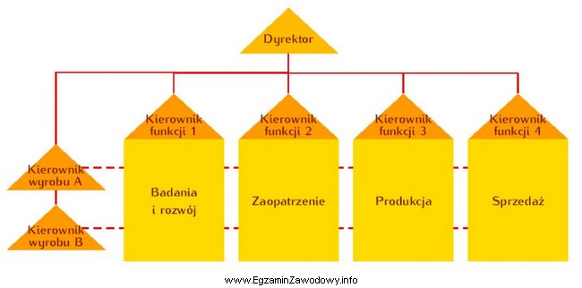 Który rodzaj struktury organizacyjnej przedsiębiorstwa przedstawiono na rysunku?