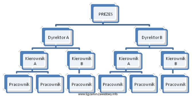 Którą strukturę organizacyjną przedsiębiorstwa przedstawiono na schemacie?