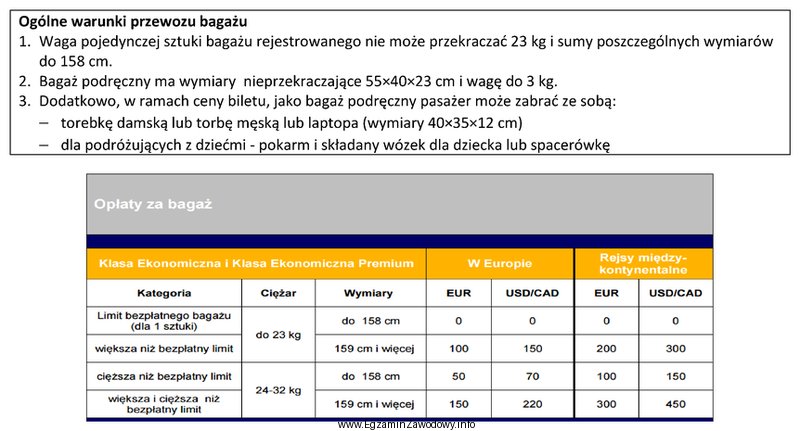 Ile zapłaci za bagaż pasażer, który leci 