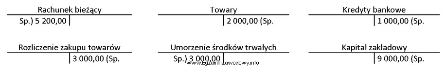 Wskaż konta, na których błędnie wpisano salda 