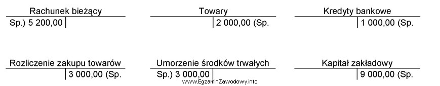 Wskaż konta, na których błędnie wpisano salda 