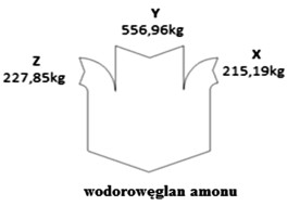 Teoretyczny bilans procesu otrzymywania 1 tony wodorowęglanu amonu przebiegającego 