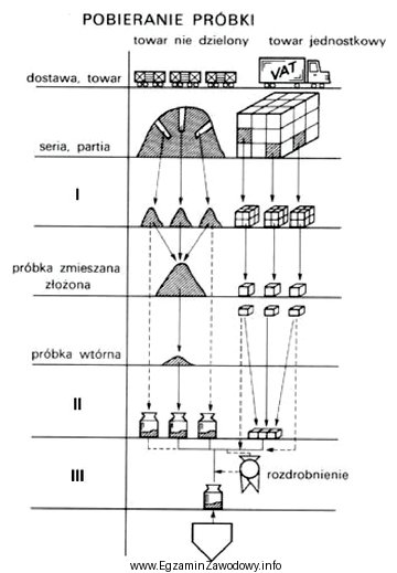 Na rysunku przedstawiono schemat poboru próbek wg J. Namieś