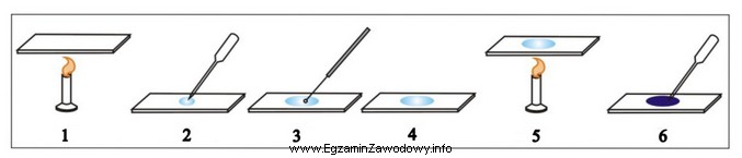 Rysunek przedstawia poszczególne etapy wykonania preparatu mikroskopowego utrwalonego. Cyfrą 3 
