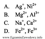 Wskaż zestaw kationów, które można zidentyfikować za 