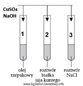 Na podstawie zamieszczonego schematu, ilustrującego przeprowadzone doświadczenia, wskaż, 