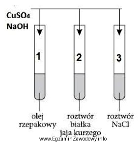 Na podstawie zamieszczonego schematu ilustrującego przeprowadzone badania wskaż, jaką 