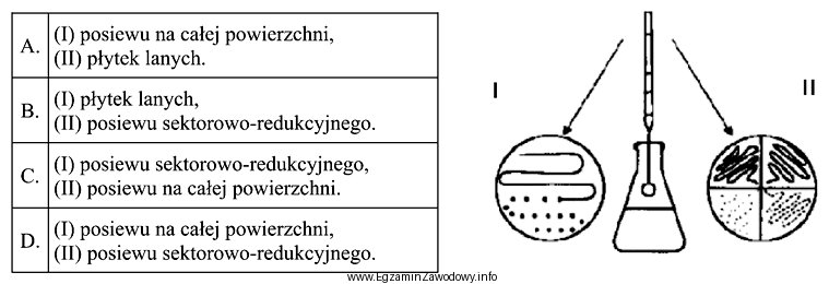 Którymi metodami przeprowadzono izolację kultur przedstawioną na rysunku?