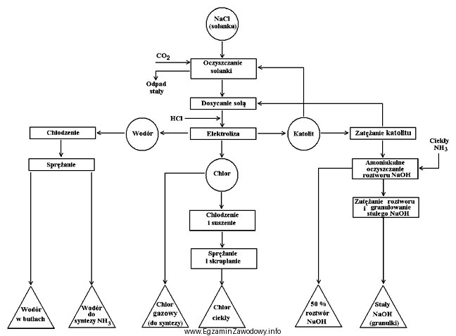 Na rysunku przedstawiono schemat produkcji chloru metodą elektrolizy przeponowej. Produktami 