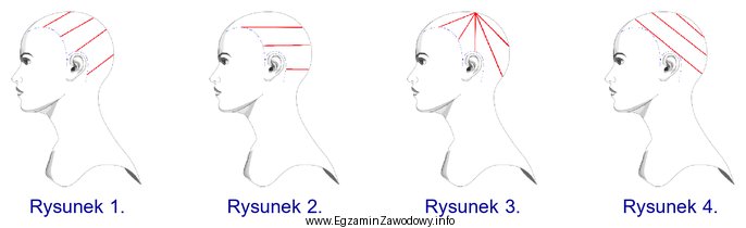 Wskaż rysunek przedstawiający podział włosów, który 