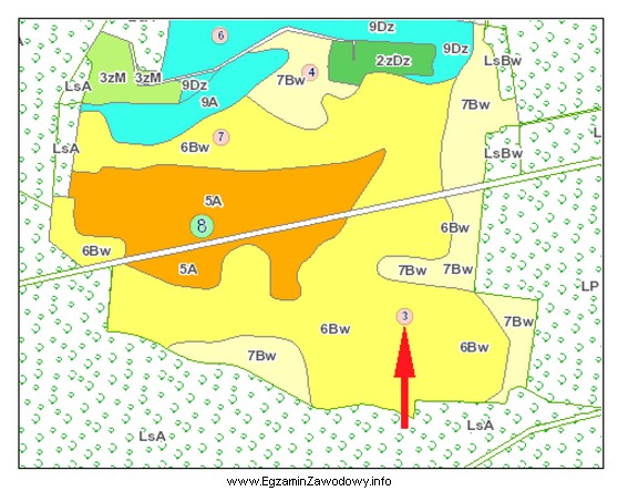 Na przedstawionym fragmencie mapy glebowo-rolniczej czerwoną strzałką wskazano