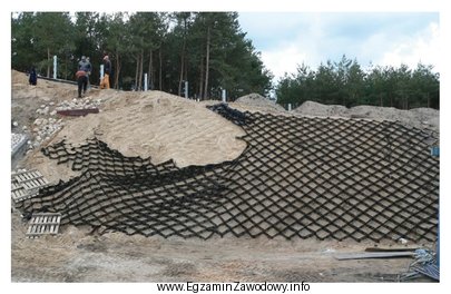 Na podstawie rysunku określ, który rodzaj geosyntetyku zastosowano 