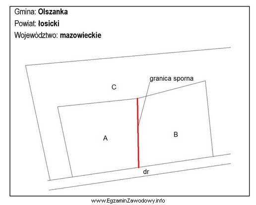 Kto upoważnia geodetę do przeprowadzenia czynności rozgraniczeniowych, w 