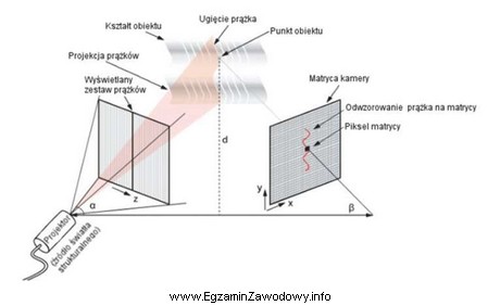 Przedstawiony schemat obrazuje zasadę działania skanera