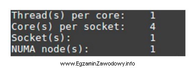 Przedstawioną diagnostykę systemu Linux można zrealizować za pomocą polecenia