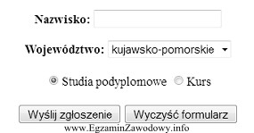 Które z pól są umieszczone w formularzu?