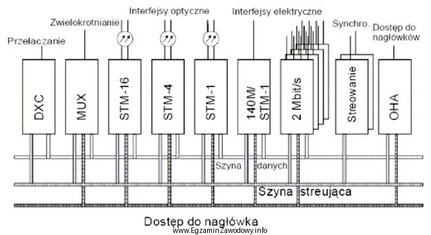 Rysunek przedstawia strukturę sieci