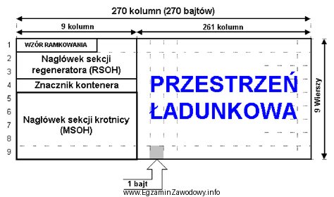 Na rysunku jest przedstawiona struktura ramki systemu