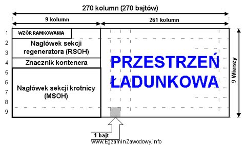 Na rysunku jest przedstawiona struktura ramki systemu