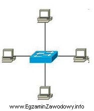 Jaką topologię okablowania należy zastosować do zbudowania sieci komputerowej 