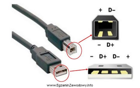 Ile żył powinien posiadać przewód zakończony z 