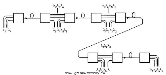 Którą topologię sieci WDM przedstawiono na ilustracji?