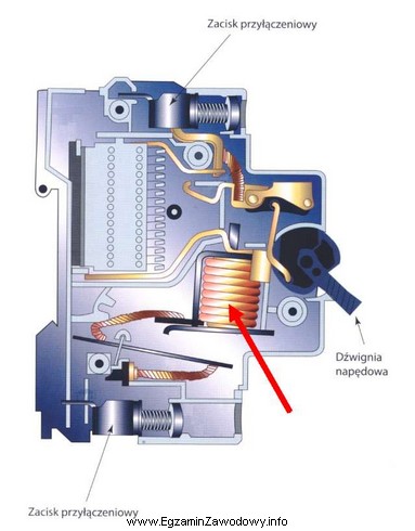 Jaką funkcję w wyłączniku nadprądowym pełni 