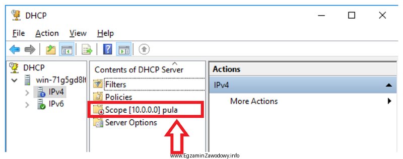 W systemie serwerowym Windows widoczny jest zakres adresów IPv4. 