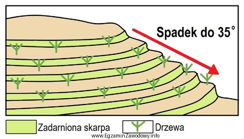 Którą metodę zabezpieczenia rekultywowanego zwałowiska przed osuwaniem przedstawiono 