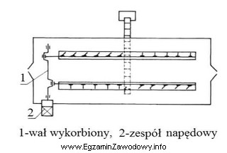 Jaki rodzaj urządzenia do usuwania obornika przedstawiono na schemacie?