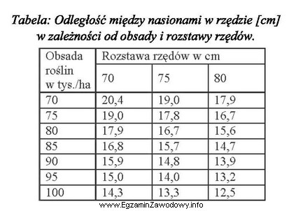 Chcąc uzyskać obsadę 85 tysięcy nasion na hektar, przy 