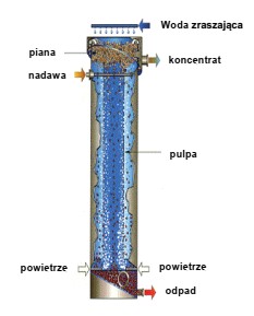 Na rysunku przedstawiono schemat flotacji w maszynie