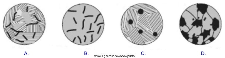 Strukturę żeliwa sferoidalnego perlitycznego przedstawiono na rysunku oznaczonym literą