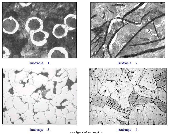 Na której ilustracji przedstawiono strukturę żeliwa szarego?