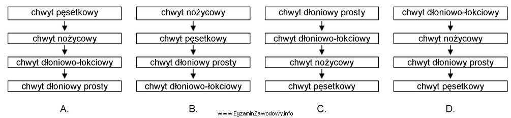 Który schemat obrazuje prawidłowy rozwój umiejętnoś