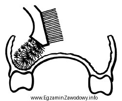 Do czego należy stosować szczoteczkę przedstawioną na rysunku?